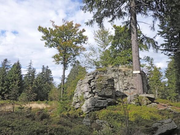 Hochberg - 1. Felsengruppe