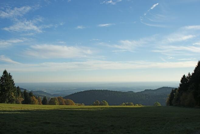 Fernsicht über die &quot;Bugl-Wiese&quot; zur Donauebene