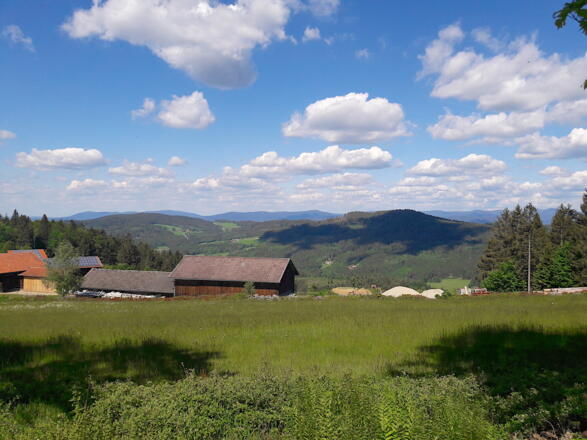 Blick über Riedelswald vom Hohen Bogen bis zum Großen Arber