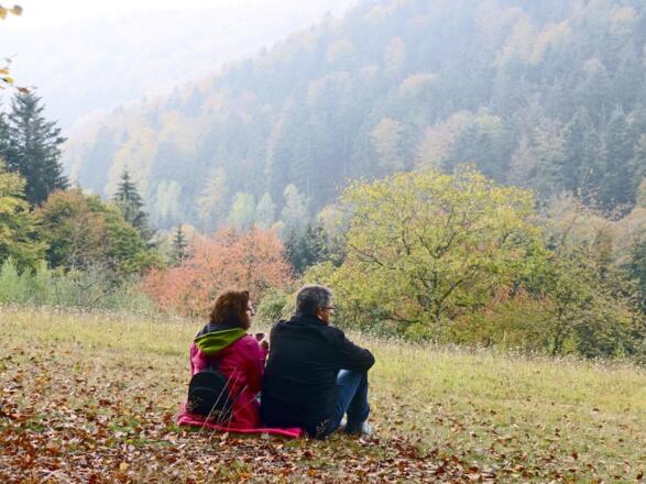 Ruhiger Platz in Mitterberg