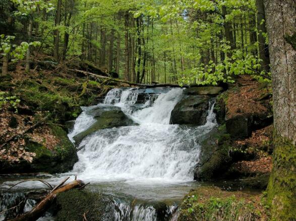 Nagelsteiner Wasserfälle