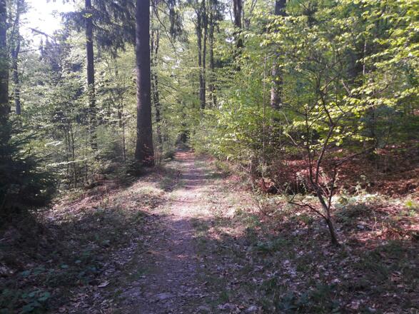 Wanderweg nach Loderwinkl