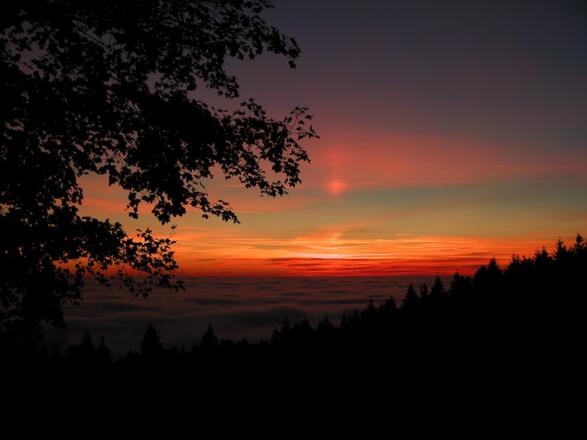 Sonnenuntergang von Maibrunn
