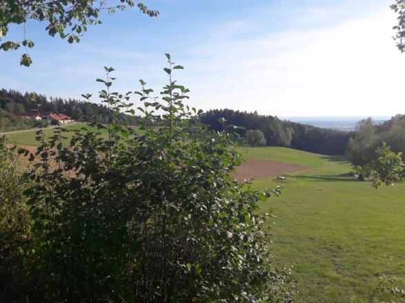 Blick zum Feiertaghof und Donauebene