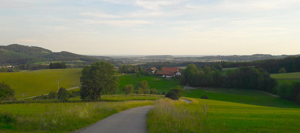 Fernsicht zum Bogenberg vor Autsdorf