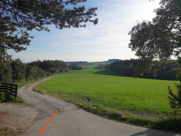 Wegeinmündung bei Lengfeld mit Blick zurück