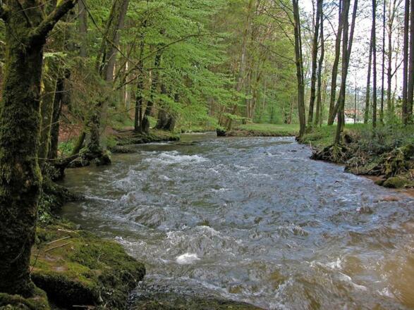 Perlbach bei Buchamühl