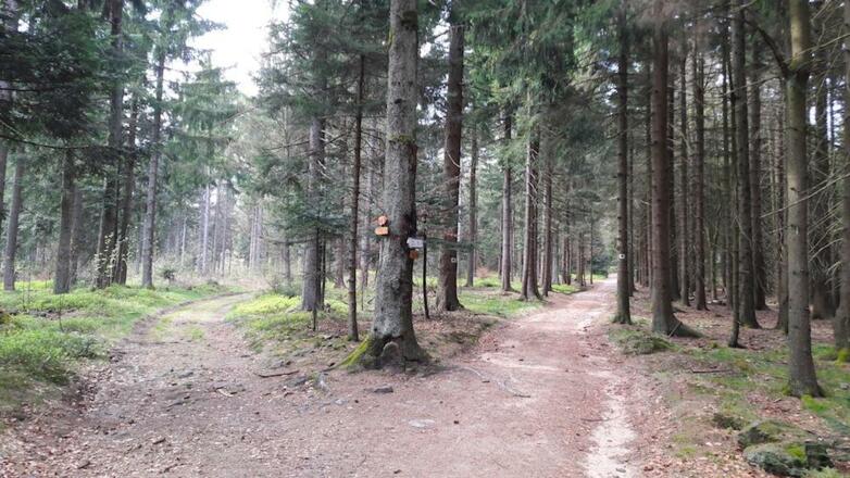 Weggabelung bei Riedern - links verläuft die Route