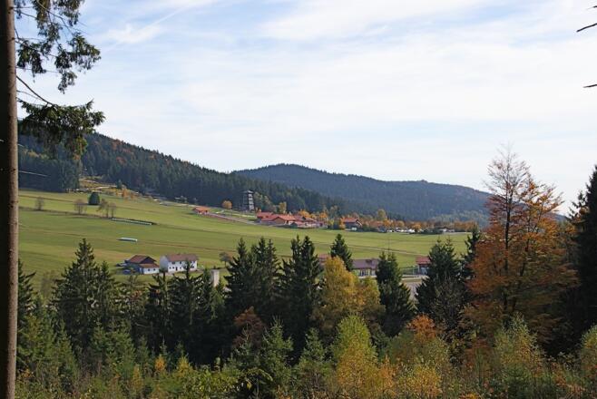 Rückblick auf Grün mit der Sommerrodelbahn