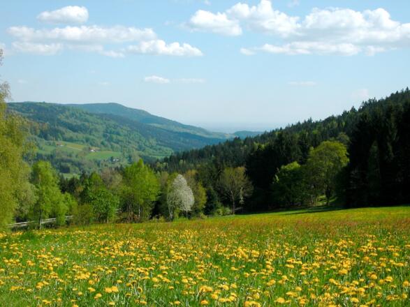 Ausblick vom Weg nach Grün