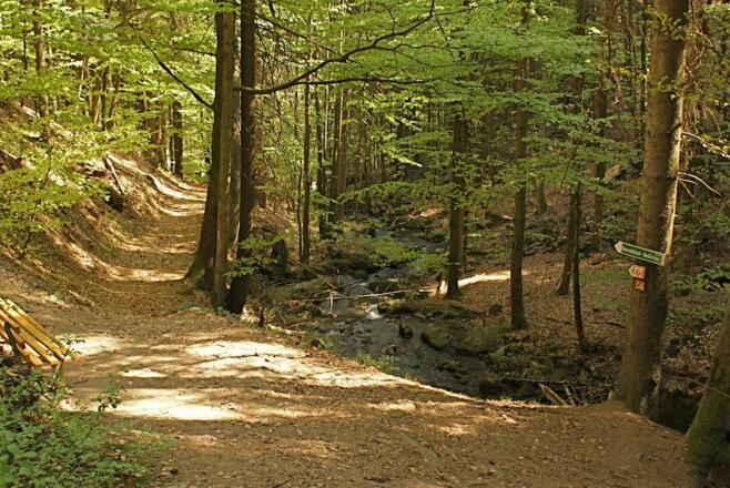 Wanderweg bei den Nagelsteiner Wasserfällen