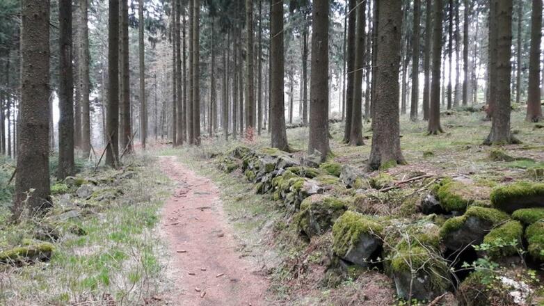 Weg entlang dem Hadriwa