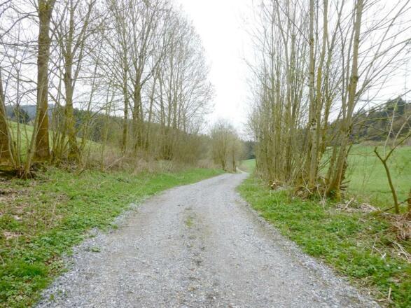 Wanderweg nach Grünmühl