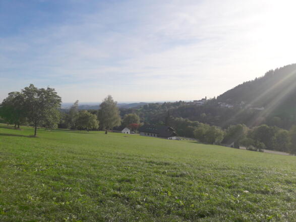 Ausblick bei Hintersollach nach Perasdorf und Donauebene