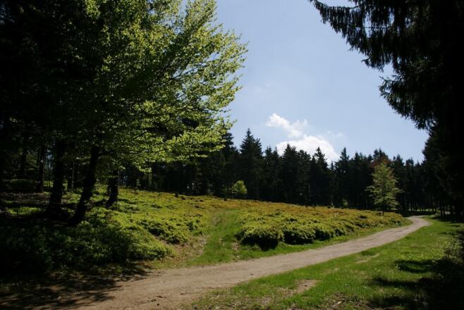 Wegabschnitt im Anstieg