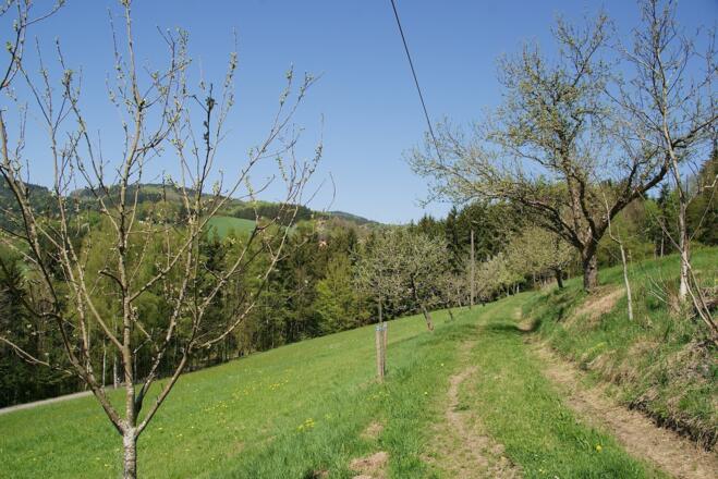 Wanderweg nach Notzling
