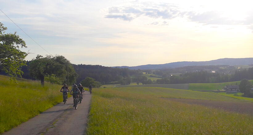 Zwischen Höllgrub und Höllberg mit Blick Richtung Haselbach