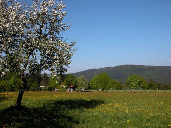 Blick zum Pröller von Maibrunn