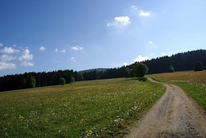 Weg von Grün nach St. Bernhard