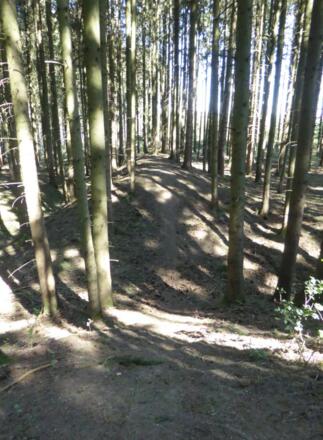 Viereckschanze - Vordere Schanze - Ringwall