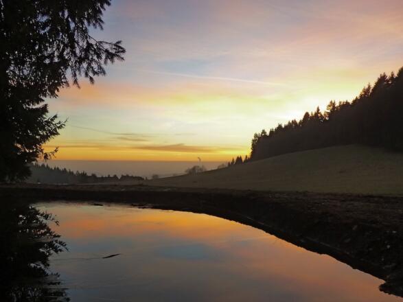 Abendstimmung beim Egidi-Weiher gegen Ende der Tour