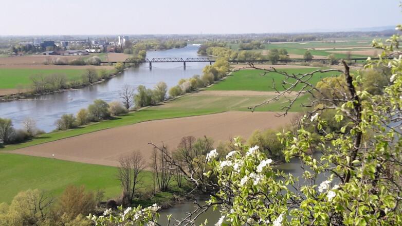 Frühlingsblick zur Donau