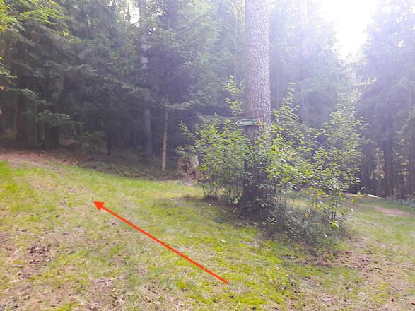 Weiter auf Weg Nr. 8 links bergauf zum Buchaberg