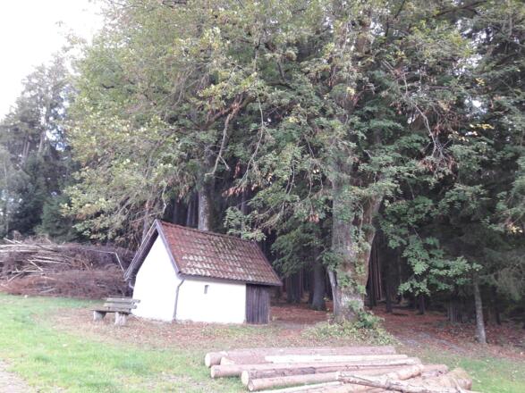 Kapelle am Kötztinger Weg