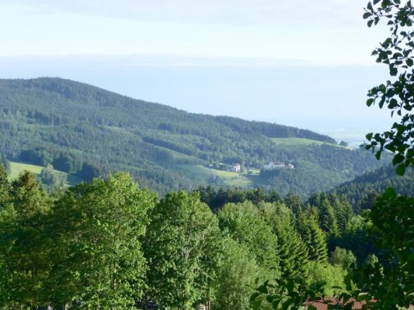 Aussicht von Glashütt zum Schopf und Kostenz