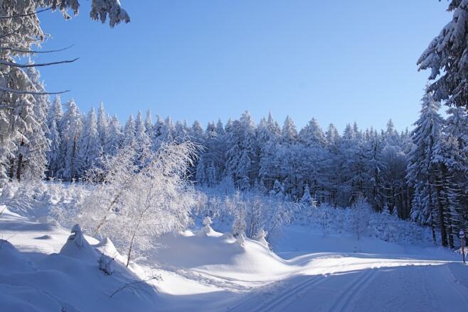 Beginn des Knoglsteigs