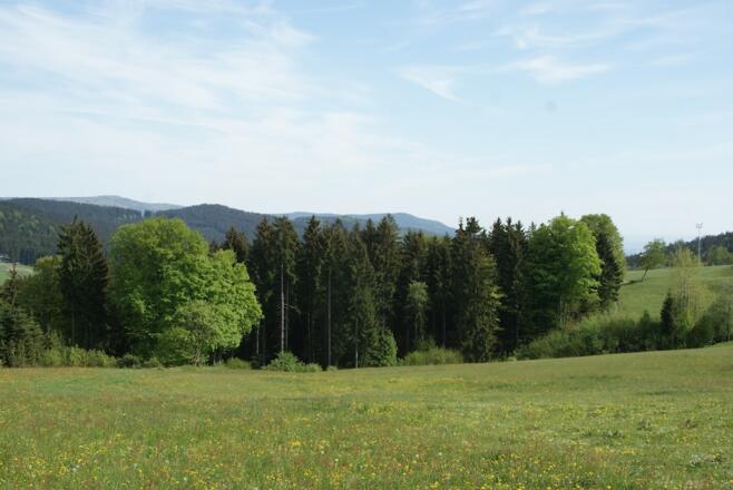 Sicht zum Hirschenstein vor Maibrunn