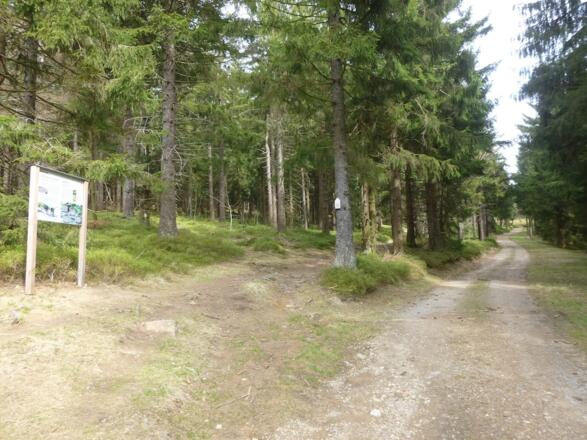 Wegabschnitt im Anstieg