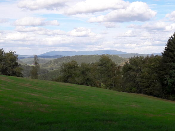Blick zum Hohen Bogen vom Kötztinger Weg