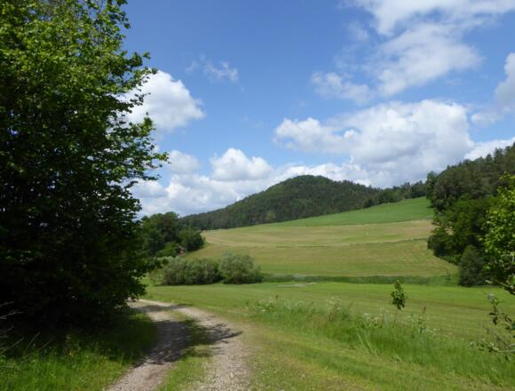 Blick auf den Sengersberg
