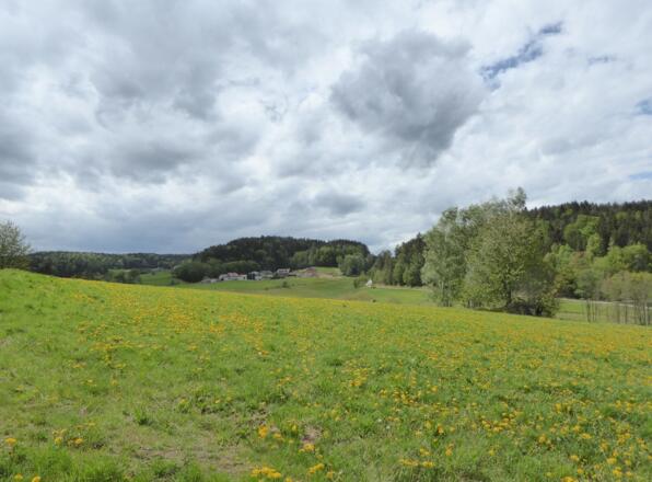 Wiesenlandschaft bei Grubhof