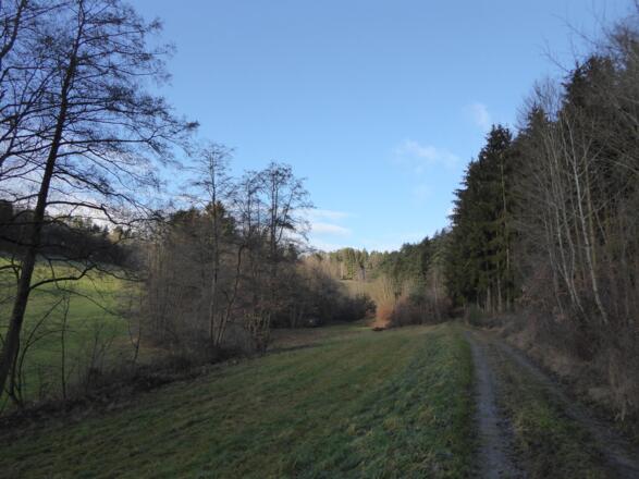 Waldweg hinauf nach Wullendorf