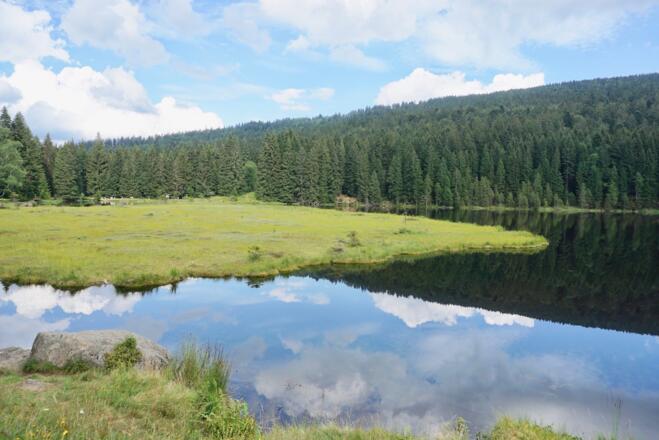 Blick vom Westufer auf die große schwimmende Insel