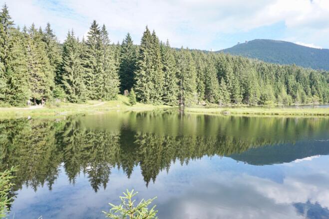 Blick zum Ostufer und Großem Arber
