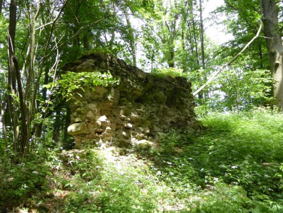 Burgruine Sengersberg