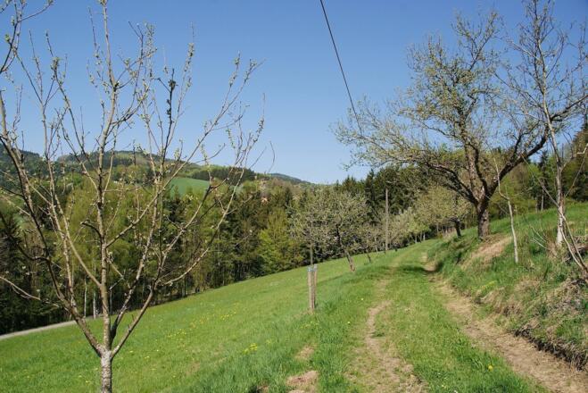 Wanderweg nach Notzling
