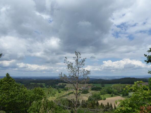 Aussicht vom Sengersberg