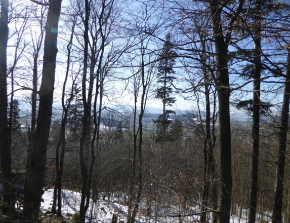 Blick vom Schlossberg