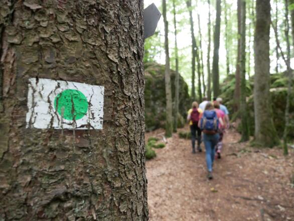 Auf dem Karstkundlichen Wanderpfad