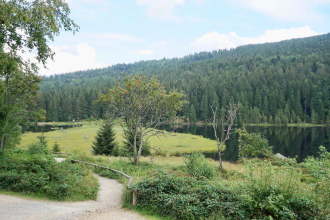 Blick von Seehütte zur großen schwimmenden Insel
