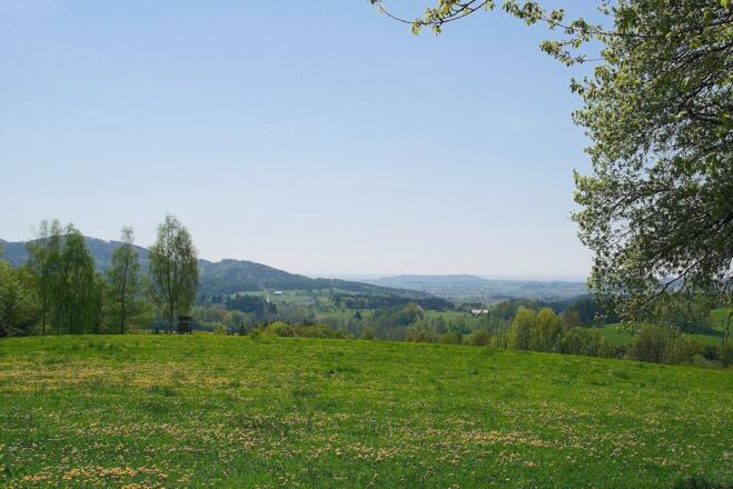 Blick von Notzling zum Bogenberg