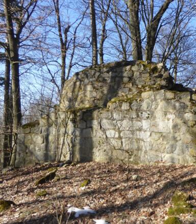 Burgruine Buchberg - die Überreste