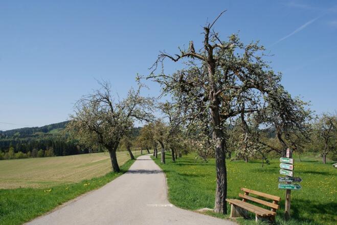 Anhöhe vor Neukirchen