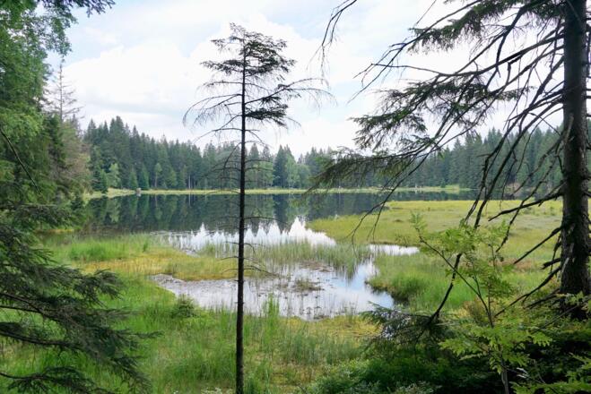 Blick an der mittleren schwimmenden Insel vorbei zum Ostufer