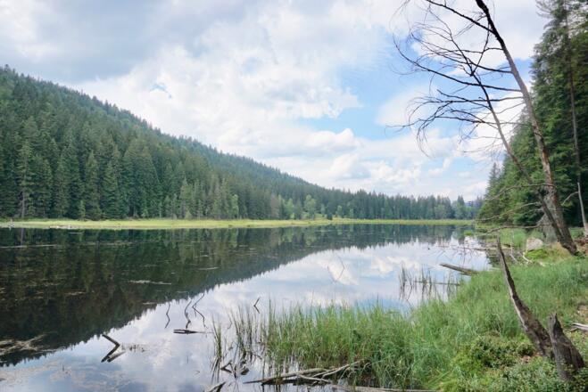 Blick vom Ostufer auf den See