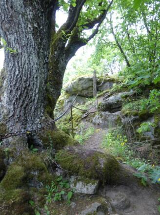 Burgruine Sengersberg